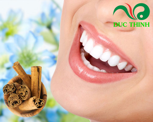 Vỏ quế ngâm rượu có tác dụng gì?