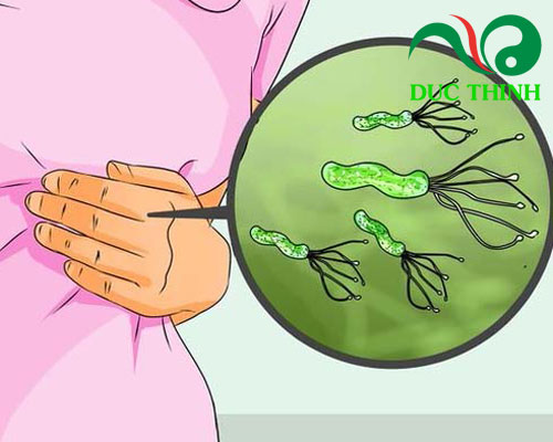 Cây gừng gió có công dụng gì?