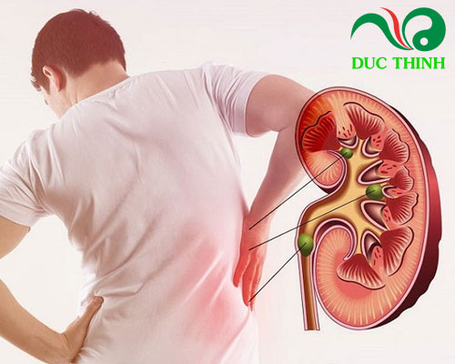 Cây quýt gai có tác dụng gì?